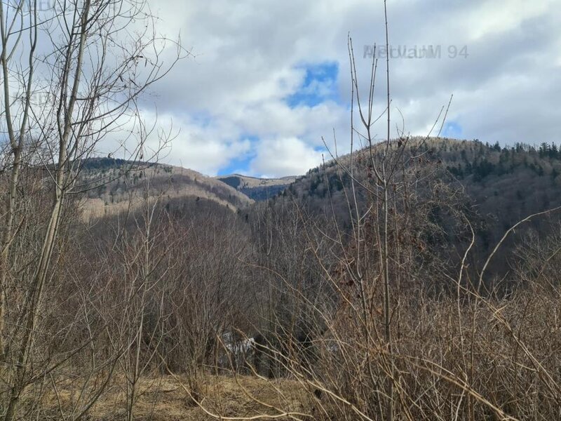 Teren de vanzare in Sinaia - Platou Izvor